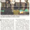 Article cinéma (29 Novembre 2012)